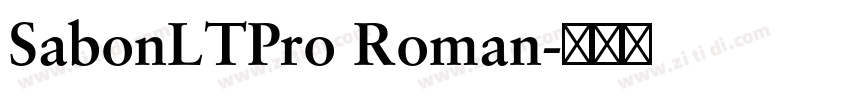 SabonLTPro Roman字体转换